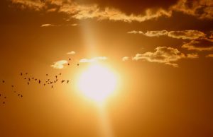 Wereldtitel Solar Challenge buiten zicht