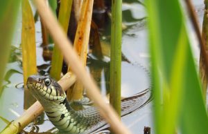 De mooiste foto van: Jos Le Conté