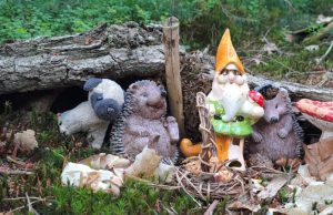 Zeister kabouterbos Foto Facebook - Gezellige kabouterfamilie