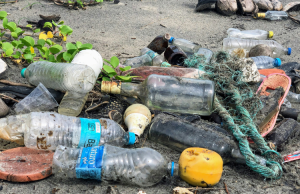 Fastfoodketen in Zeist zet zich in tegen zwerfafval Fastfoodketen in Zeist zet zich in tegen zwerfafval