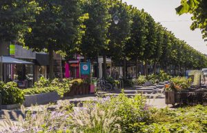 Na herinrichting geen reguliere parkeerplekken meer op de Slotlaan Winkeliers hadden in januari hogere omzet