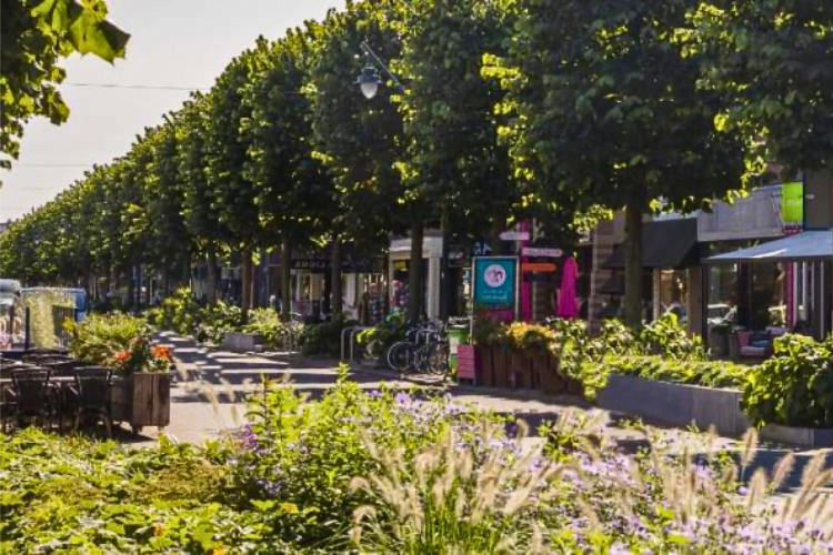 Parkeerplaatsen blijven toch behouden na herinrichting Slotlaan