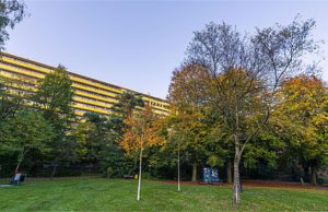 Vollenhove krijgt opnieuw geld voor wijkaanpak Vollenhove krijgt opnieuw geld voor wijkaanpak