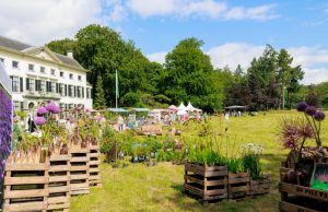 Tuindagen weer terug op Landgoed Vollenhoven Foto: Chiel Eijt - Tuindagen weer terug op Landgoed Vollenhoven